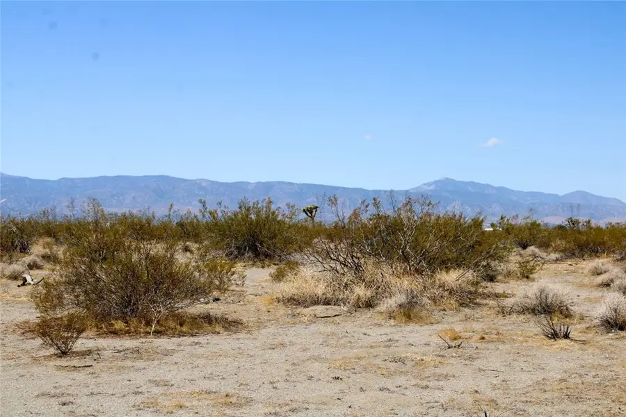 14999 Mojave Drive, Phelan, CA 92371 - #2