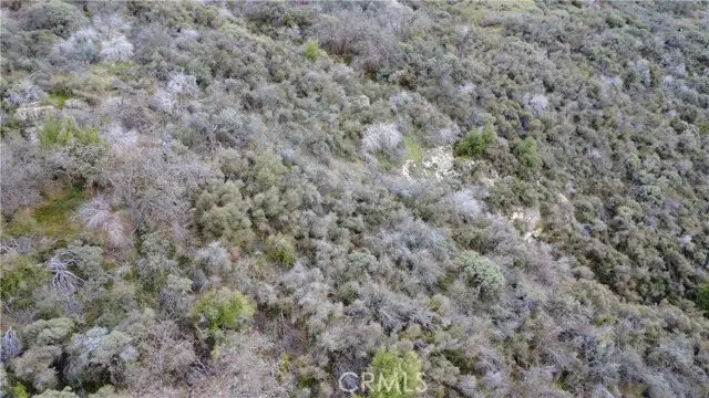 0 APN 195-070-01, Miramonte, CA 93641 - #2