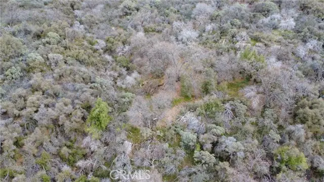 0 APN 195-070-01, Miramonte, CA 93641 - #3