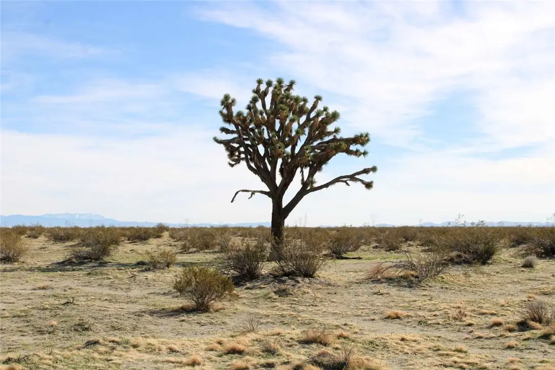 179937 Johnson Road, Phelan, CA 92371 - Image #1