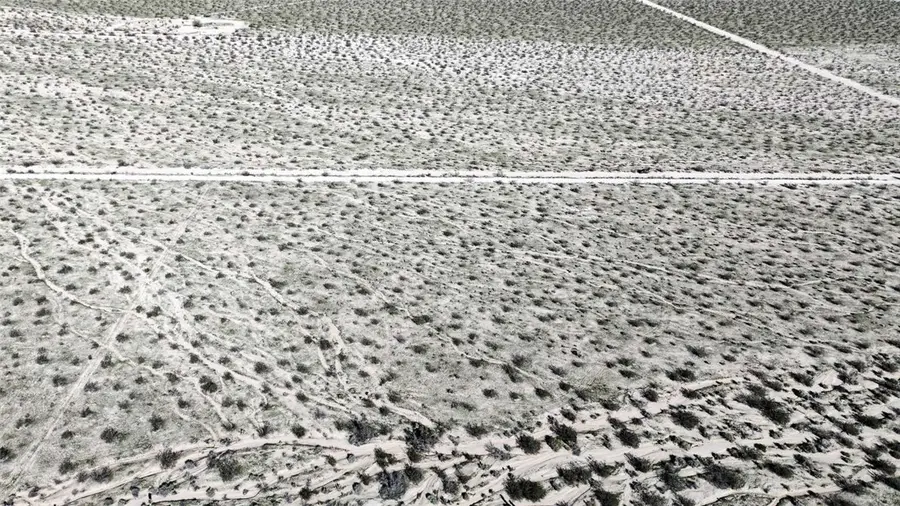 62999 Broadway Street, Joshua Tree, CA 92252 - Image #3