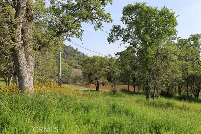0 Douglas Road, Coarsegold, CA 93614 - #2