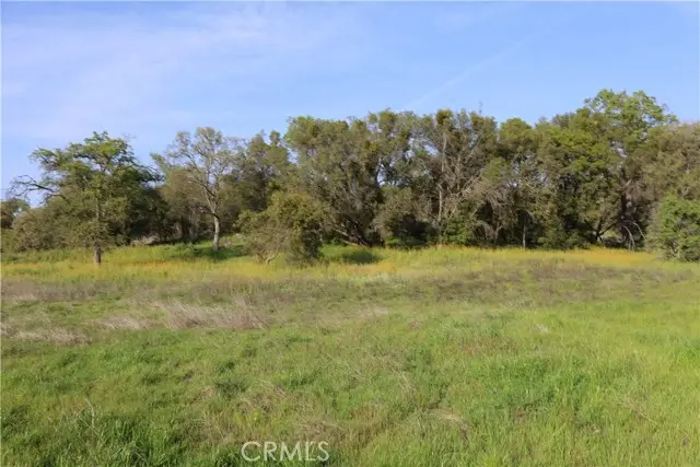 0 Douglas Road, Coarsegold, CA 93614 - #3