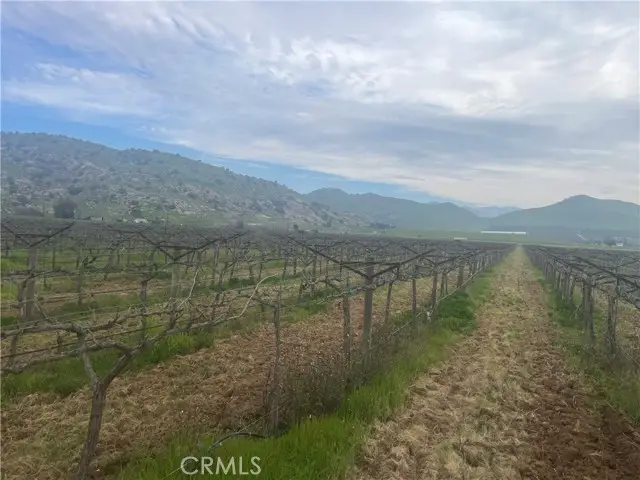 0 Olive Avenue, Porterville, CA 93257 - #3