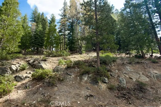 7486 Henness Ridge, Yosemite National Park, CA 95389 - #3