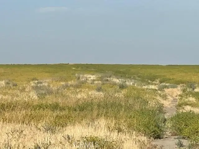 123 Poso Canal, Corcoran, CA 93212 - #1