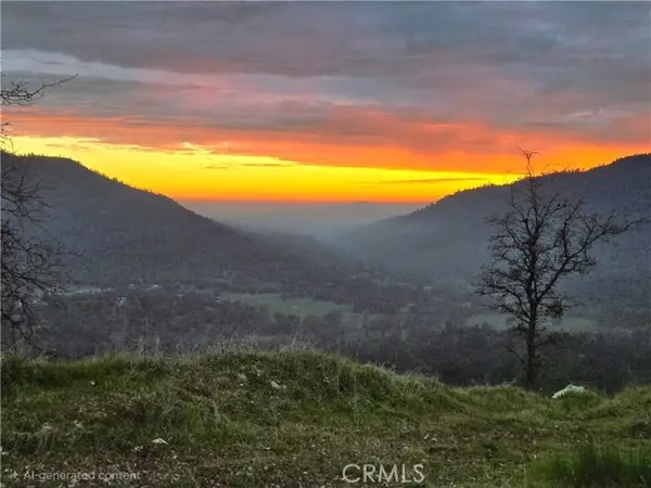 33555 Merrill Ranch Road, Knights Landing, CA 95645