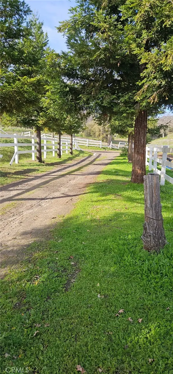 33555 Merrill Ranch Road, Knights Landing, CA 95645 - #3