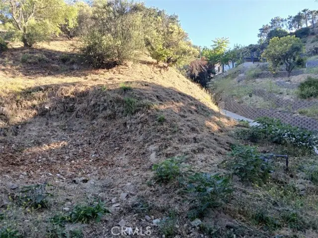 9739 Oak Bend Drive, Tujunga, CA 91042 - #3