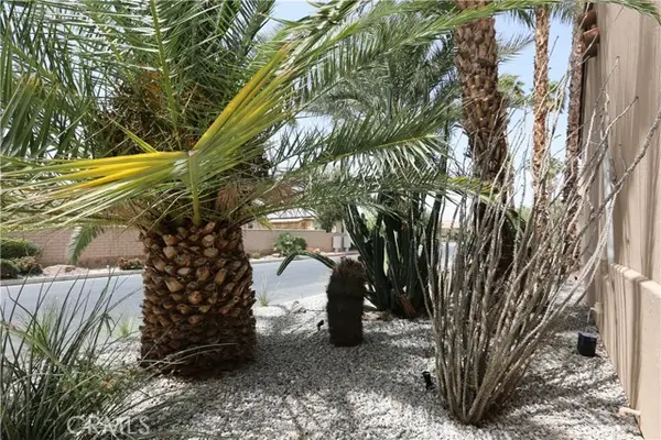 14 Calle Lantana, Palm Desert, CA 92260