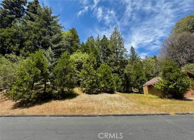 246 Cedar Ridge, Lake Arrowhead, CA 92352 - #3