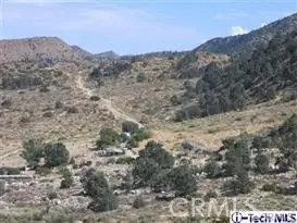 300 Z12 Street, Llano, CA 93544 - #1