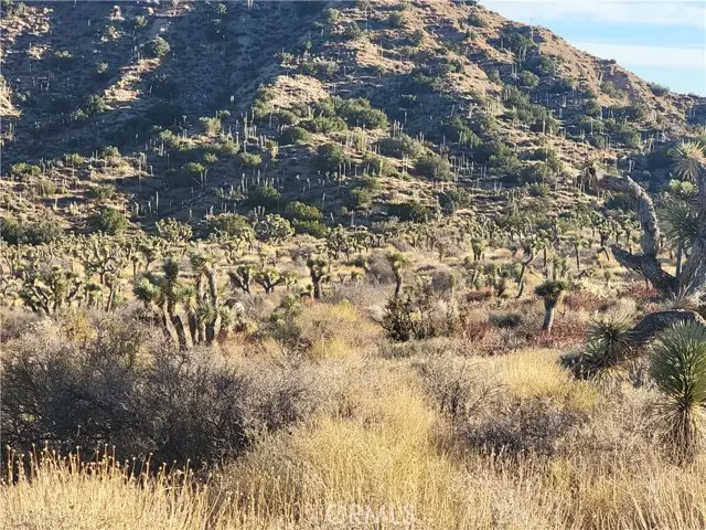 300 Z12 Street, Llano, CA 93544 - #3