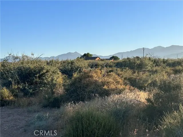 0 Rodeo, Phelan, CA 92371 - Image #2