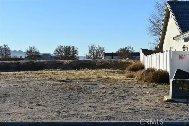 27231 Peach Tree Lane, Helendale, CA 92342 - #3