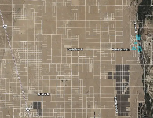 0 Marigold Avenue, Oro Grande, CA 92368 - Image #3