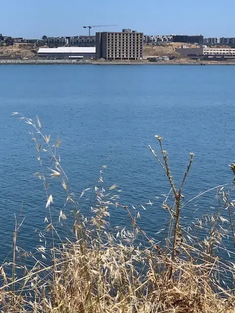 0 Alvarado Street, San Francisco, CA 94110 - #3