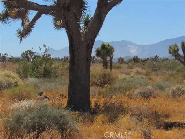 0 Goss Road, Phelan, CA 92371 - #1