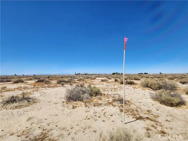 #3