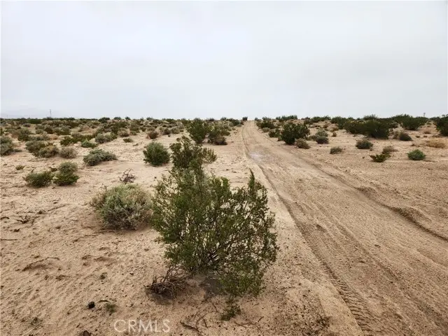 4 Near Fairview Road, Newberry Springs, CA 92365 - #1