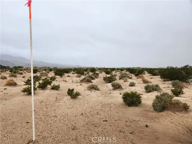 4 Near Fairview Road, Newberry Springs, CA 92365 - #2