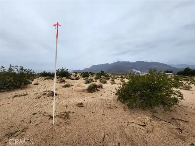 4 Near Fairview Road, Newberry Springs, CA 92365 - #3