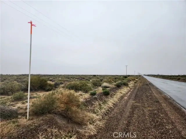 45230 Fairview Road, Newberry Springs, CA 92365 - #1