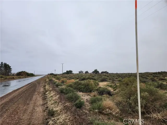 45230 Fairview Road, Newberry Springs, CA 92365 - #3