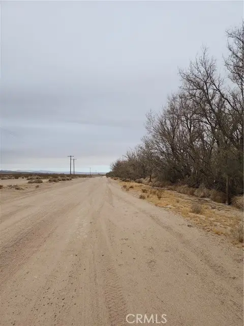 34981 Piute Road, Newberry Springs, CA 92365 - #2