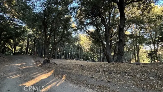 722 Mojave River Road, Cedarpines Park, CA 92322 - #2
