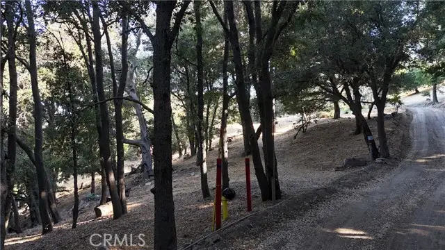 722 Mojave River Road, Cedarpines Park, CA 92322 - #3