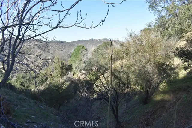 29935 Hickory Dr, Cedar Glen, CA 92321 - #1