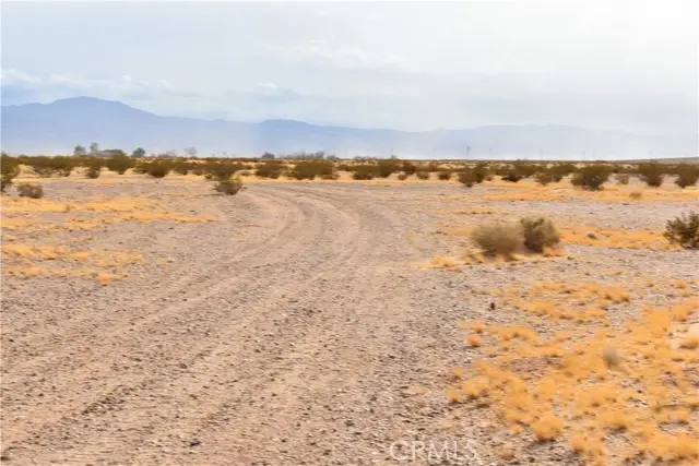 0 APN 0539-171-09-0000, Newberry Springs, CA 92365 - #3