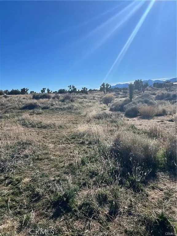 0 Tricobble Court, Phelan, CA 92371 - #2