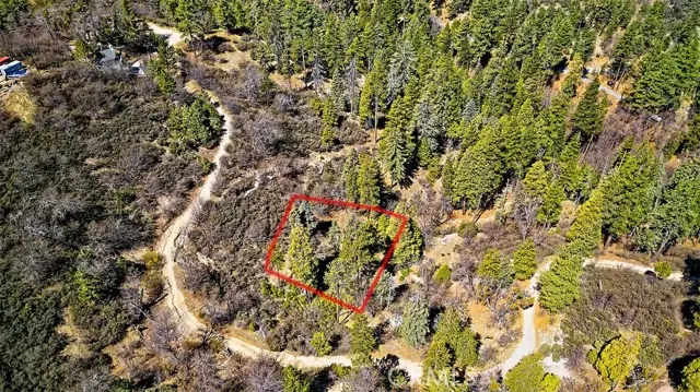 0 A Lane, Cedar Glen, CA 92321 - #3