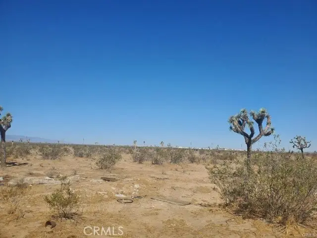 0 Poppy Road, Adelanto, CA 92301 - #2