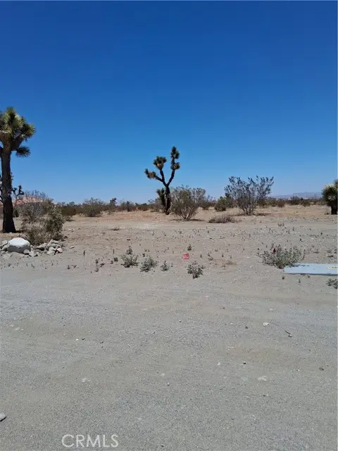 0 Danbury Road, Phelan, CA 92371 - #2