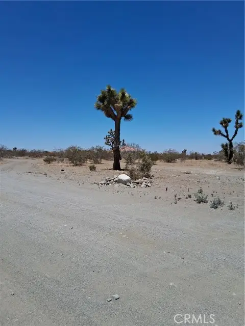 0 Danbury Road, Phelan, CA 92371 - #3