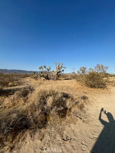 #2