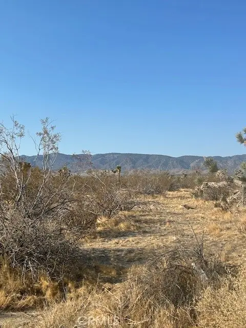 #3