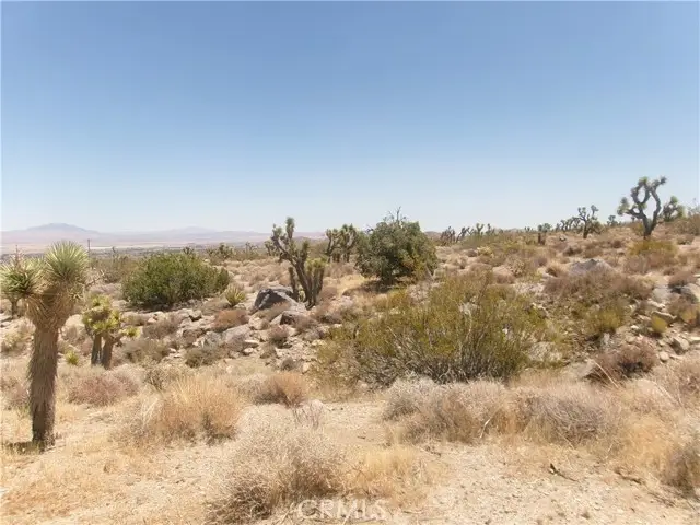 8020 MILLER RANCH Road, Lucerne Valley, CA 92356 - #1