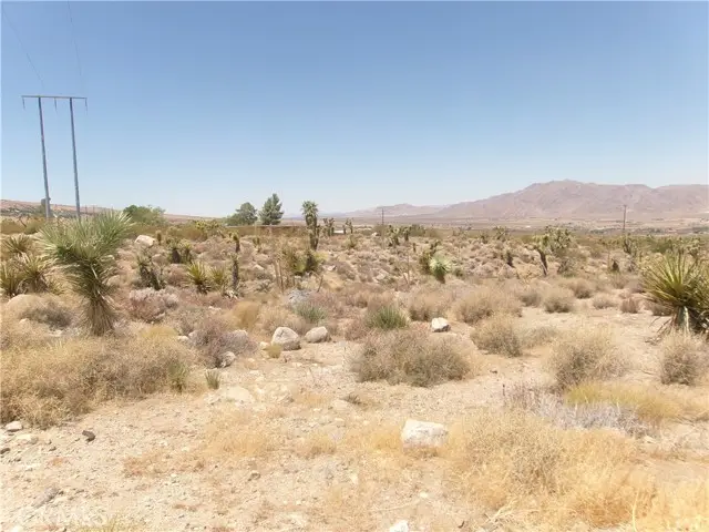 8020 MILLER RANCH Road, Lucerne Valley, CA 92356 - #2