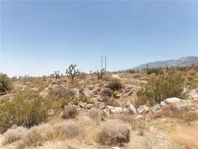 8020 MILLER RANCH Road, Lucerne Valley, CA 92356 - #3