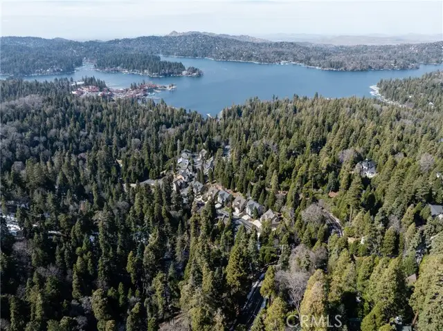 29629 Little Bear Creek Road, Cedar Glen, CA 92321 - #2