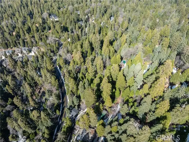 29629 Little Bear Creek Road, Cedar Glen, CA 92321 - #3