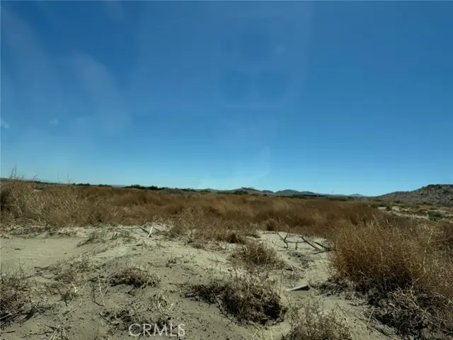 29315 Indian Trail, Helendale, CA 92342 - #1