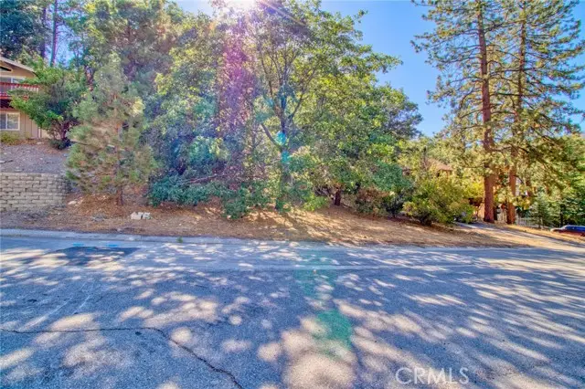 0 Flume Canyon, Wrightwood, CA 92397 - #2