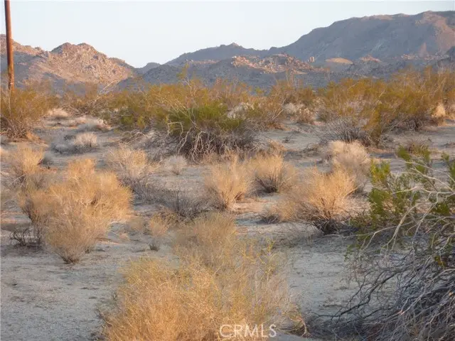 774 Manzanita Road, Landers, CA 92285 - #3