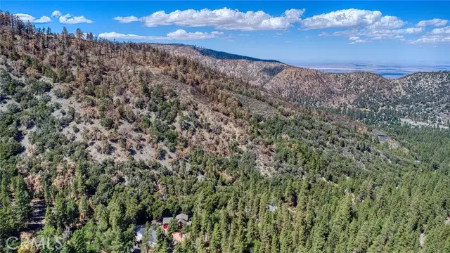 999 Acorn Dr, Wrightwood, CA 92397 - #3