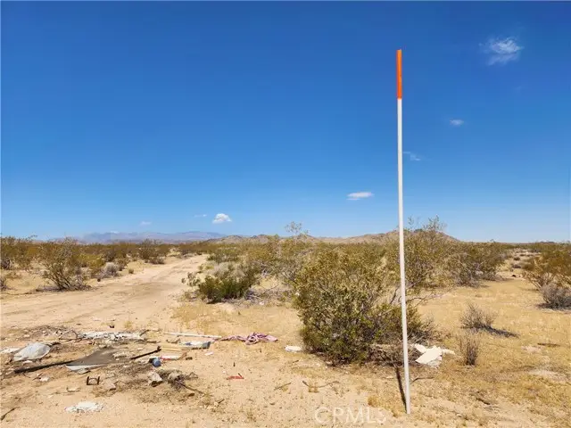 40 Joshua Tree, Joshua Tree, CA 92252 - #1